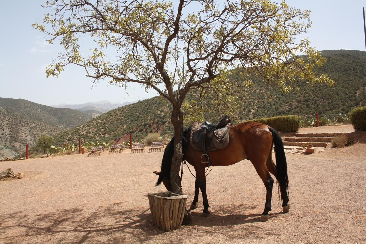 Terres D'Amanar Hotel Tahanaout Bagian luar foto